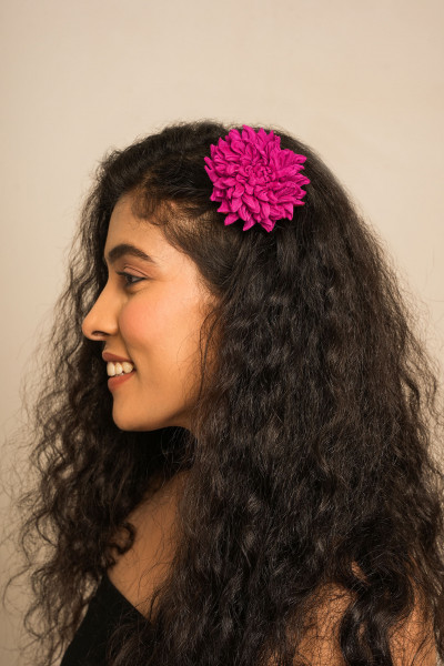 Kansas Hairclip