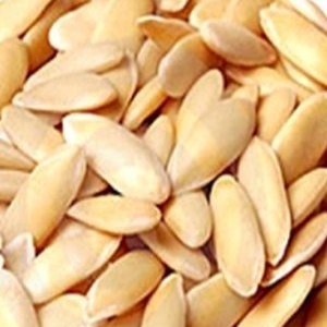 Image of Muskmelon Seeds
