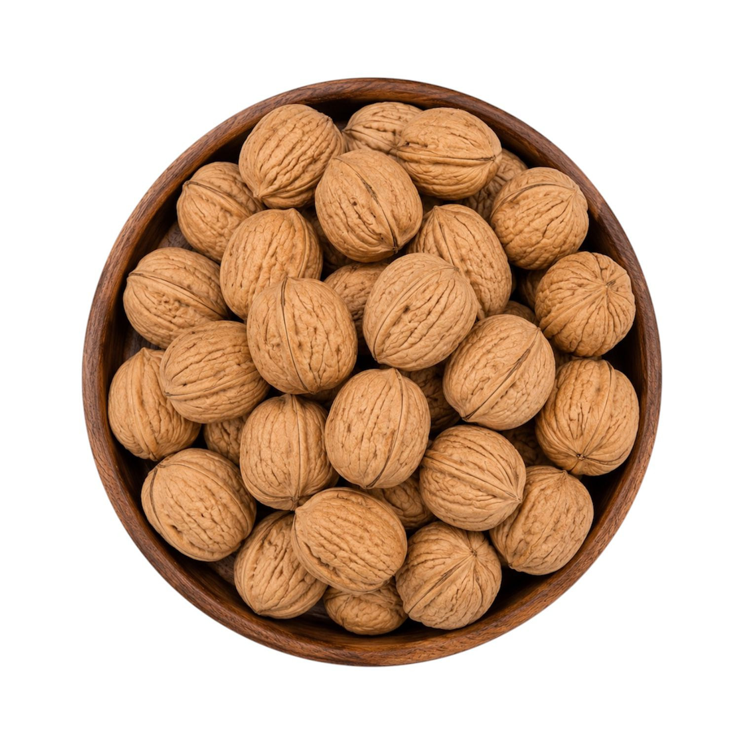 Walnut With Shell