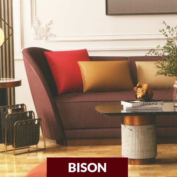 BISON