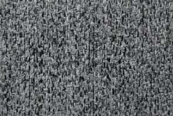 Image of ALBERT 110