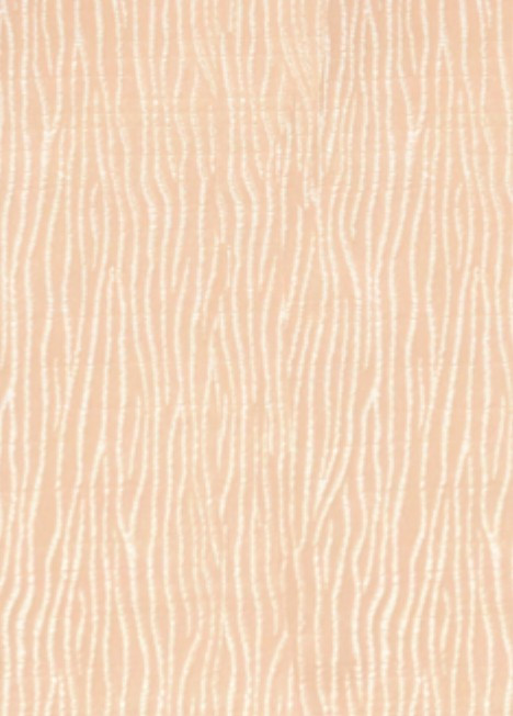 AURA 19