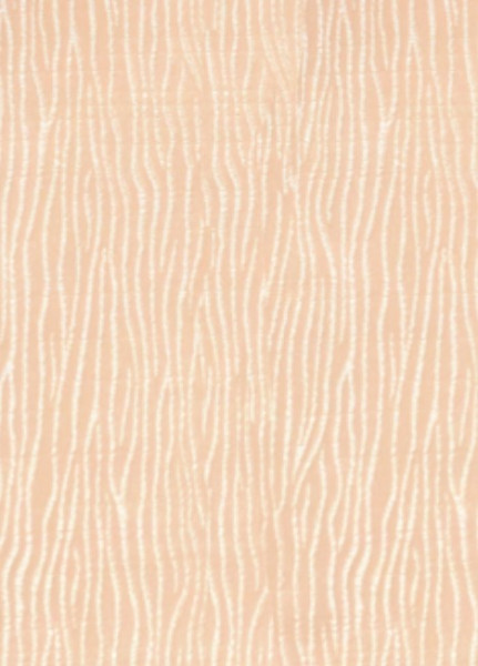 Image of AURA 19