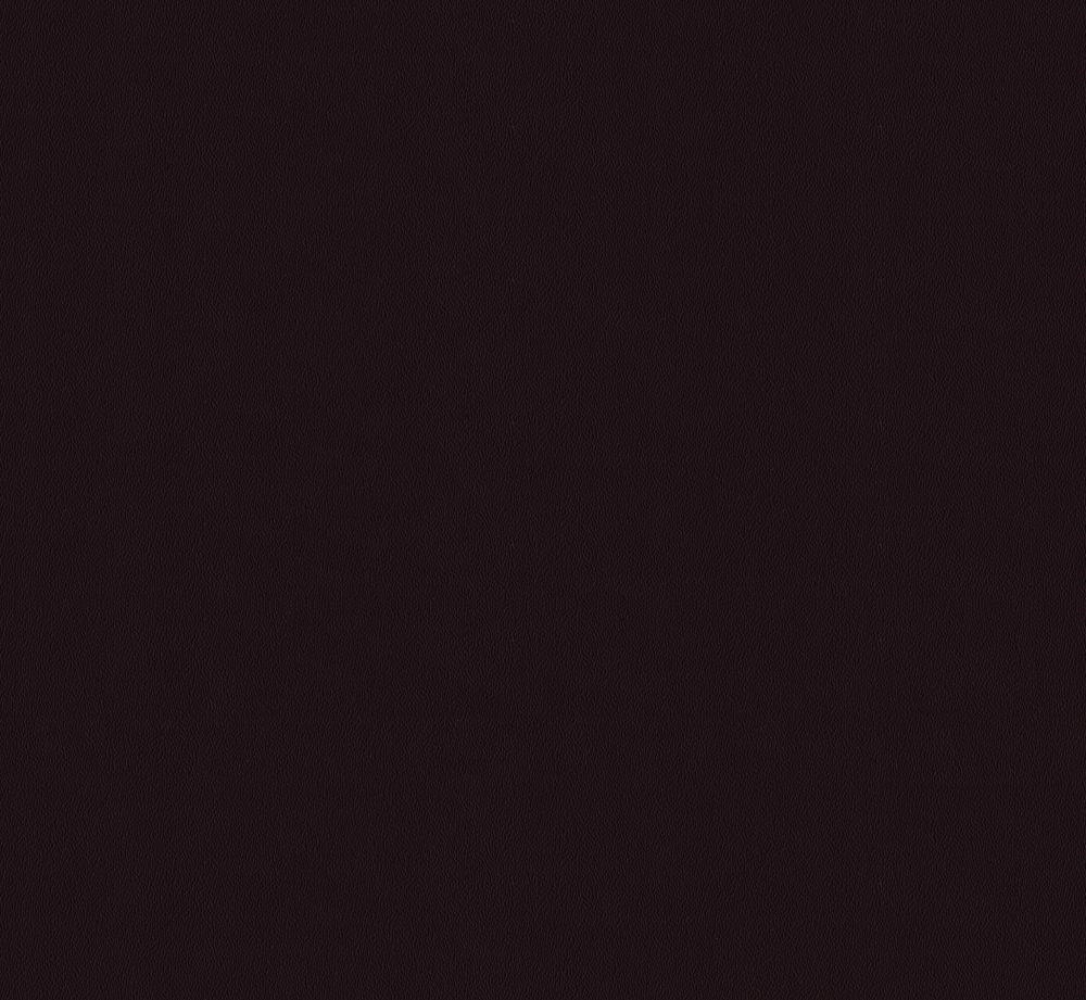BISON_18