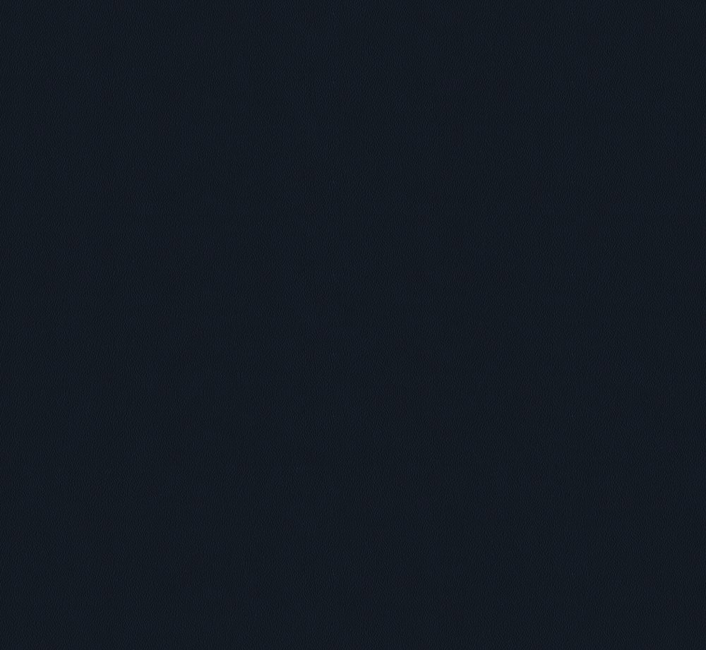 BISON_24