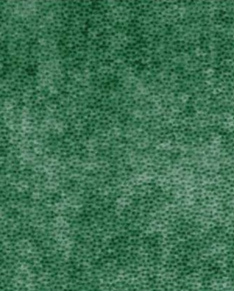 Image of BRAVO 12