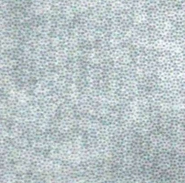 Image of BRAVO 3