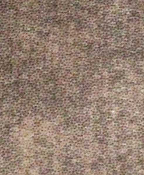 Image of BRAVO 9