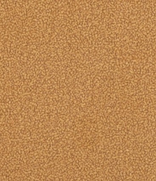 Image of BRUNO 20