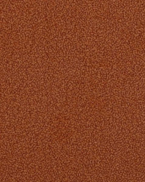 Image of BRUNO 7