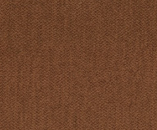 Image of COMPASS 10
