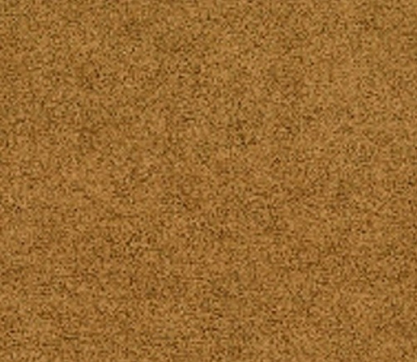 Image of GENEVA 11