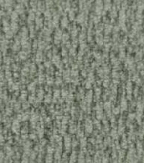 GIZA 116