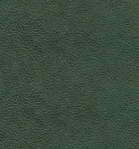 Image of HERCULES 25