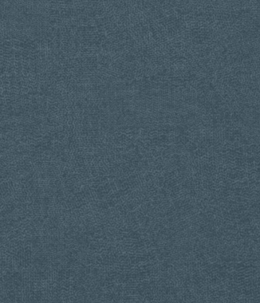 Image of INESSA 12
