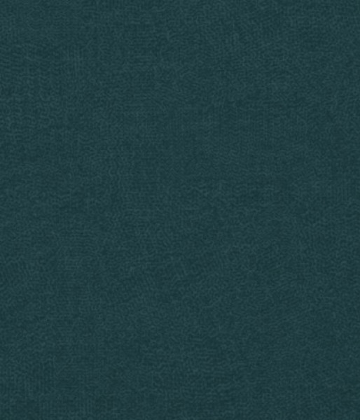 Image of INESSA 13