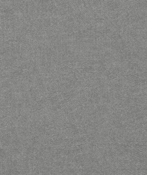 Image of INESSA 16