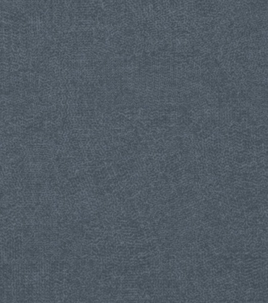 Image of INESSA 17
