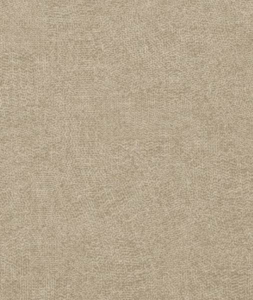 Image of INESSA 2