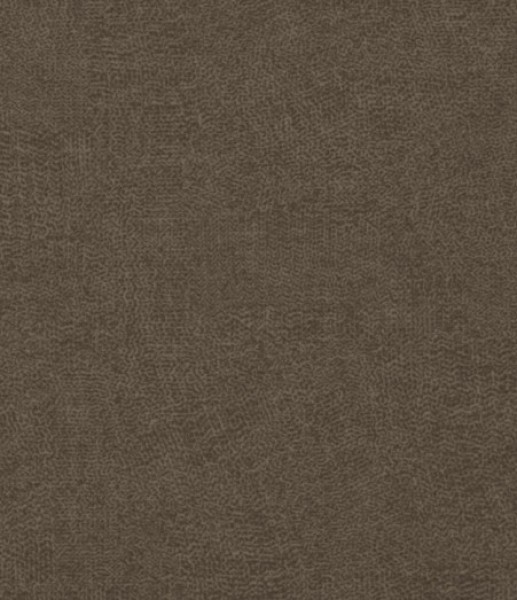 Image of INESSA 5