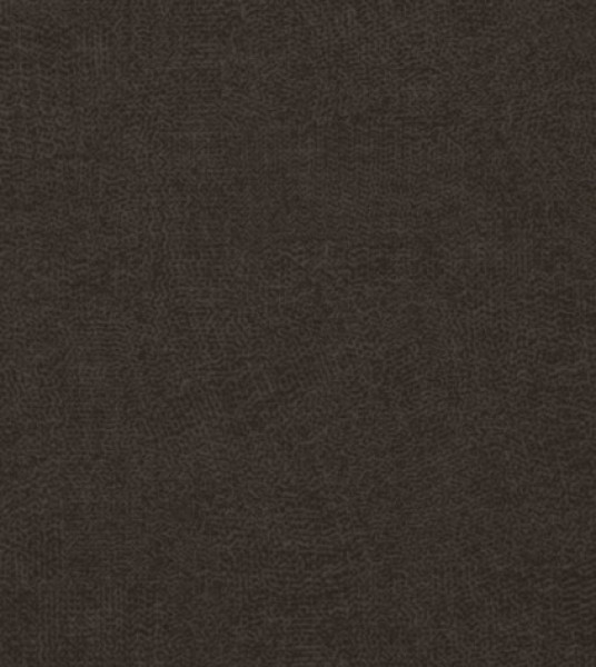 Image of INESSA 6