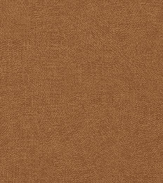 Image of INESSA 7