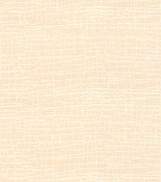 Image of JENNA 6