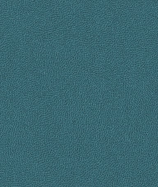 Image of KANAZAWA 25