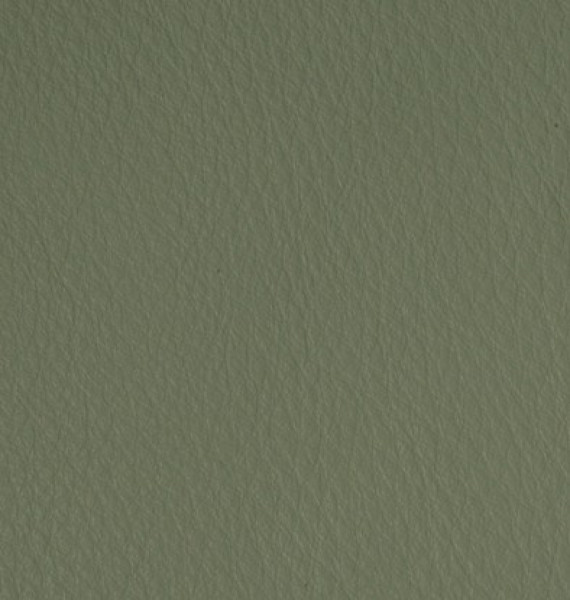 Image of LENO 11