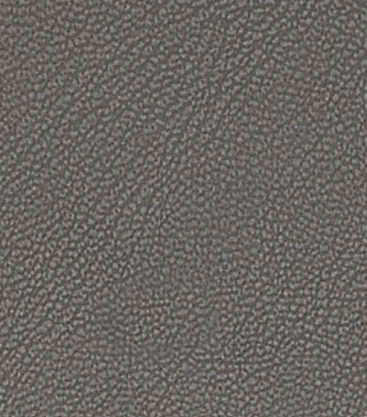 Image of MAGNOLIA 11