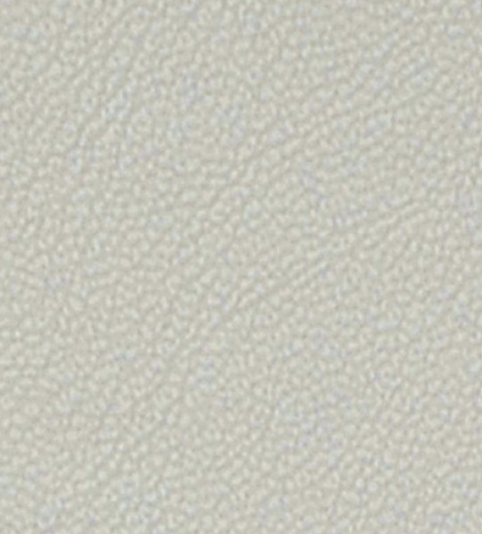 Image of MAGNOLIA 13
