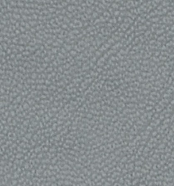 Image of MAGNOLIA 14