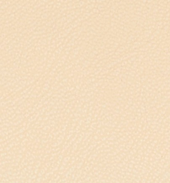 Image of MAGNOLIA 2
