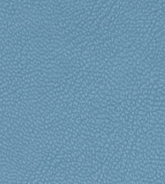 Image of MAGNOLIA 21