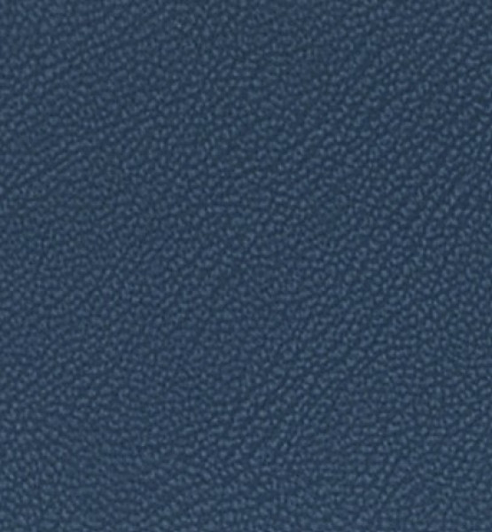 Image of MAGNOLIA 22
