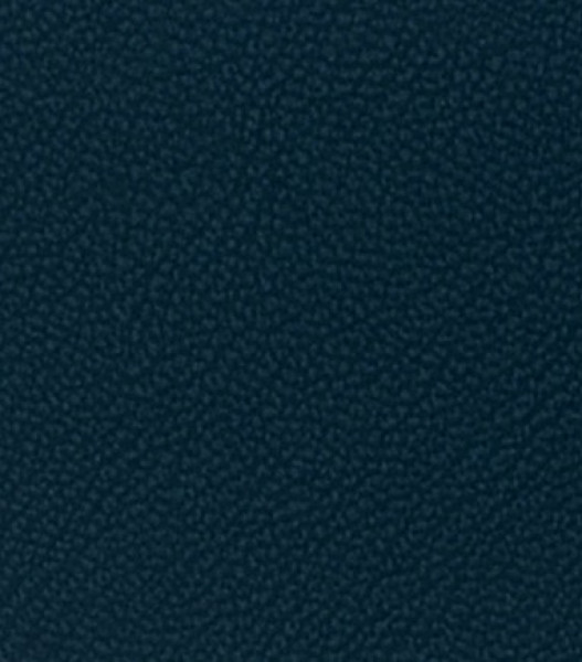 Image of MAGNOLIA 25