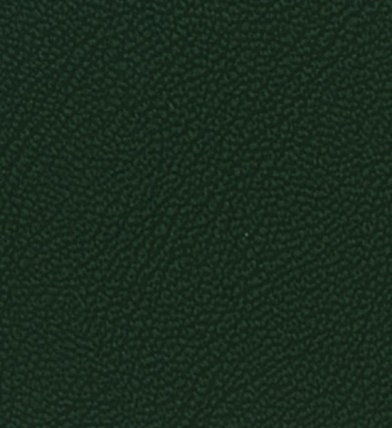 Image of MAGNOLIA 26
