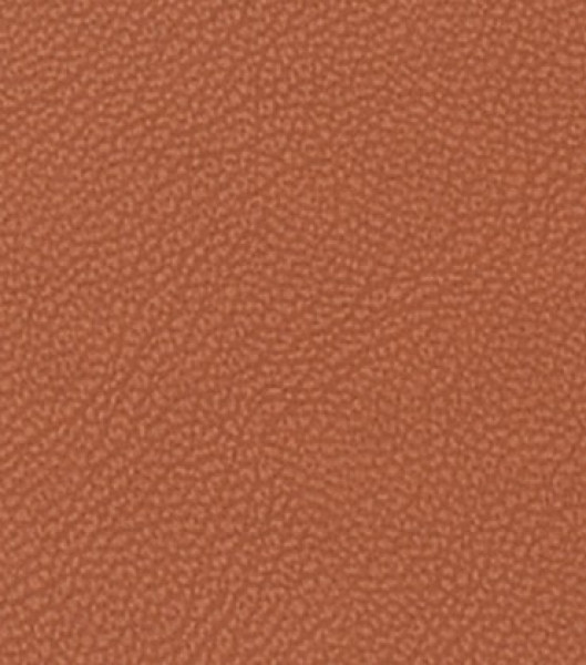 Image of MAGNOLIA 29