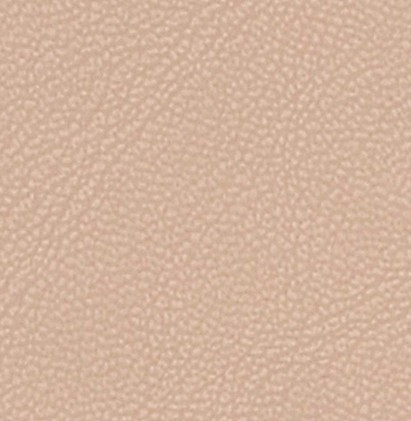 MAGNOLIA 3