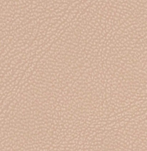 Image of MAGNOLIA 3