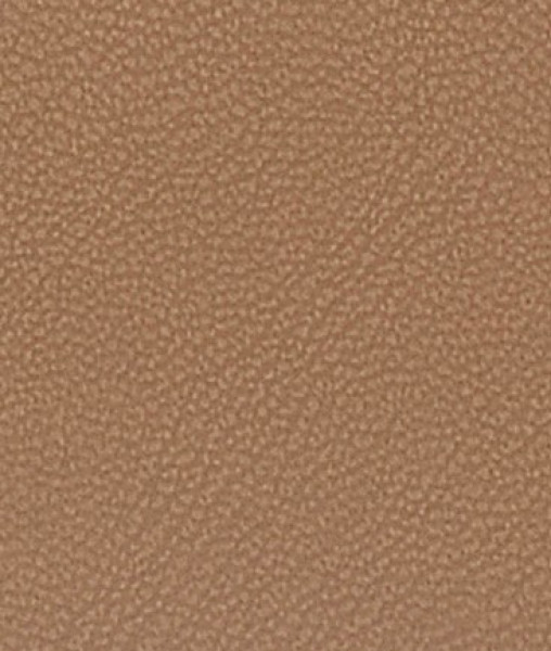 Image of MAGNOLIA 31