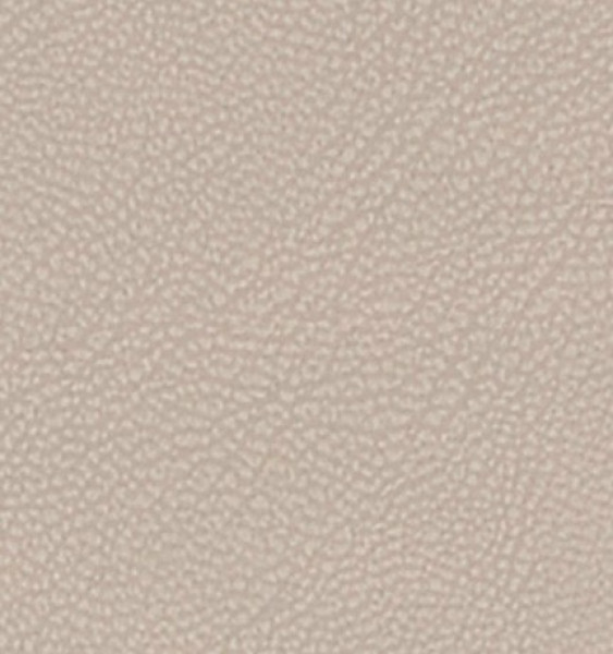 Image of MAGNOLIA 4