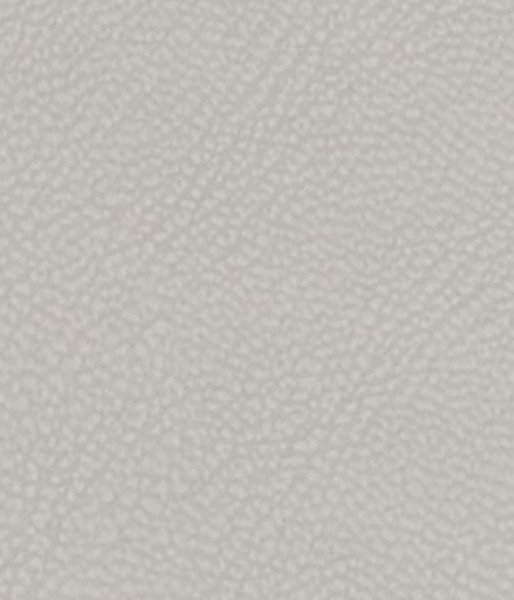 Image of MAGNOLIA 5
