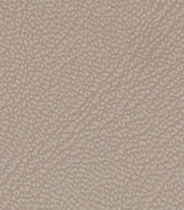 MAGNOLIA 6