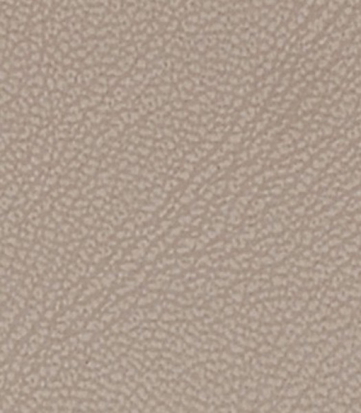 Image of MAGNOLIA 6
