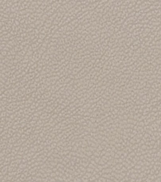 Image of MAGNOLIA 7