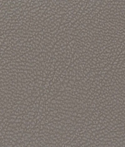 Image of MAGNOLIA 8
