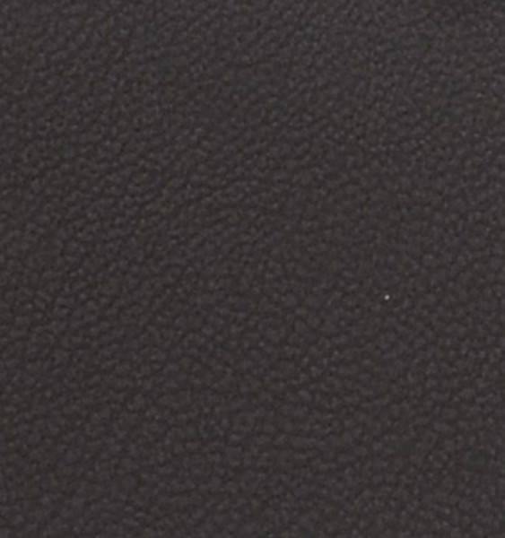 Image of MAGNOLIA 9