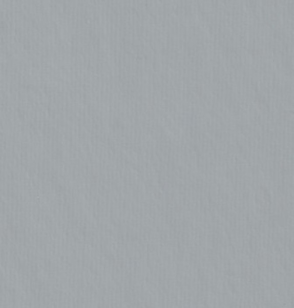 Image of MARIGOLD 12