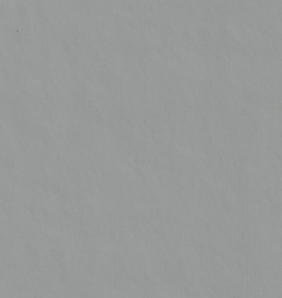 Image of MARIGOLD 13